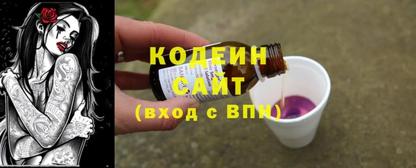 ПСИЛОЦИБИНОВЫЕ ГРИБЫ Арсеньев