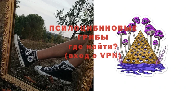 бошки Белокуриха