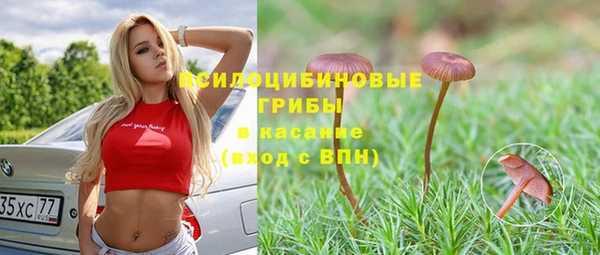 бошки Белокуриха
